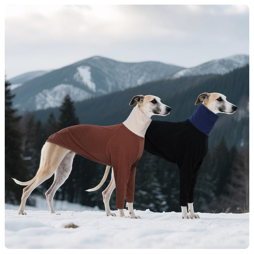 DENTRUN machine-washable dog clothes simplify care after outdoor adventures.