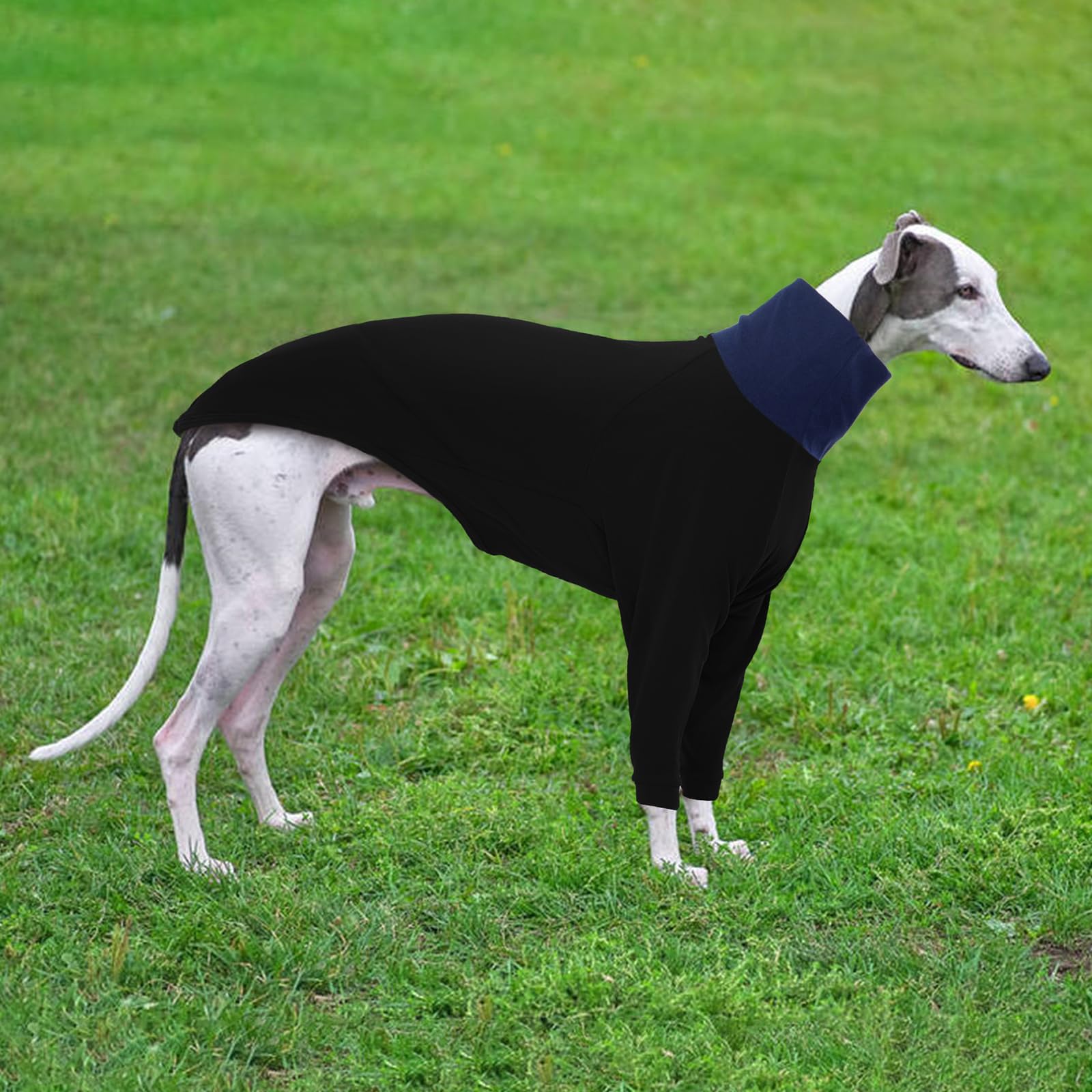 DENTRUN winter-ready sweater ideal for cold walks or cozy indoor evenings.