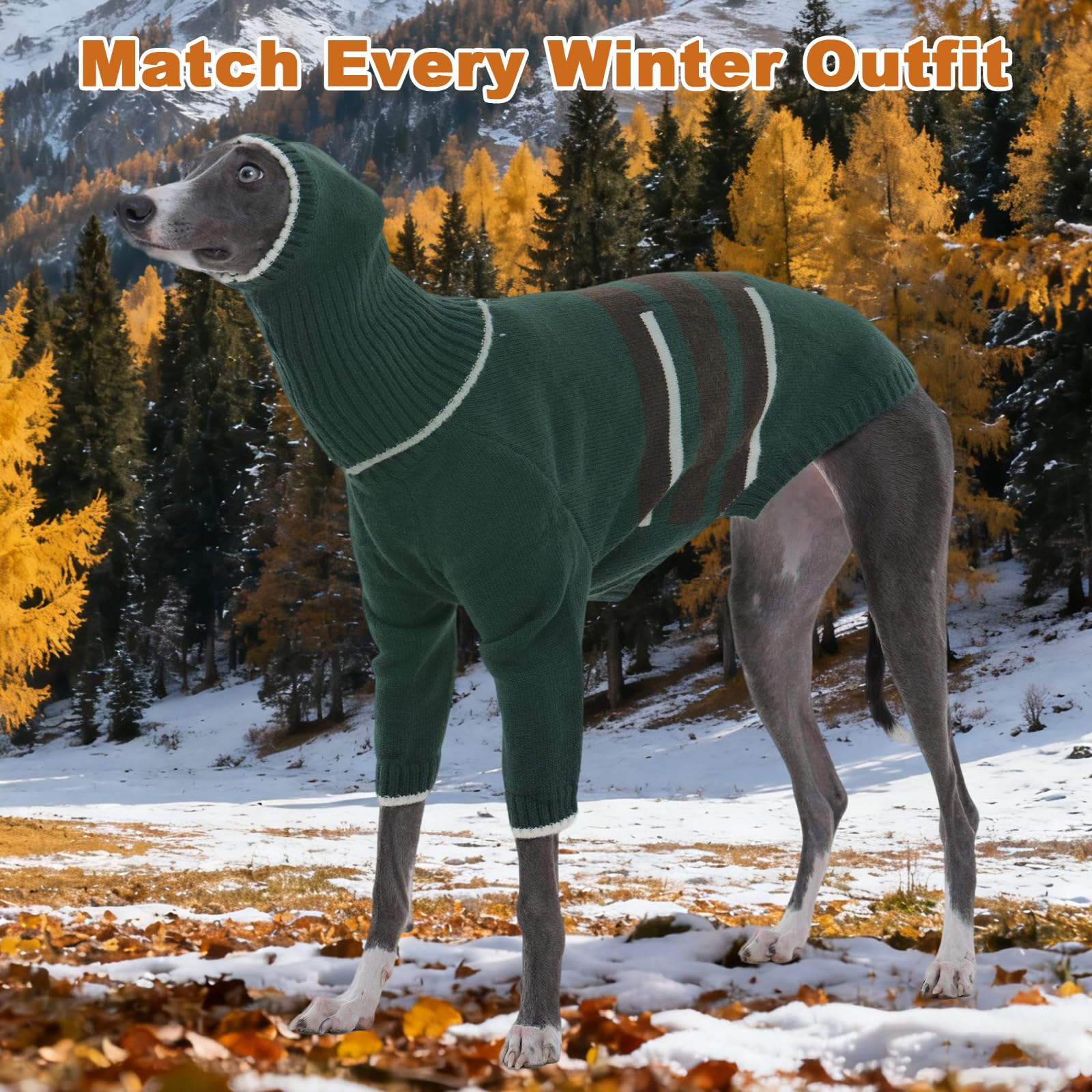DENTRUN outdoor-walk scene illustrating wind protection and comfort