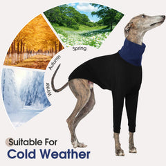 DENTRUN two-leg sleeve design keeps limbs free for play and comfort.