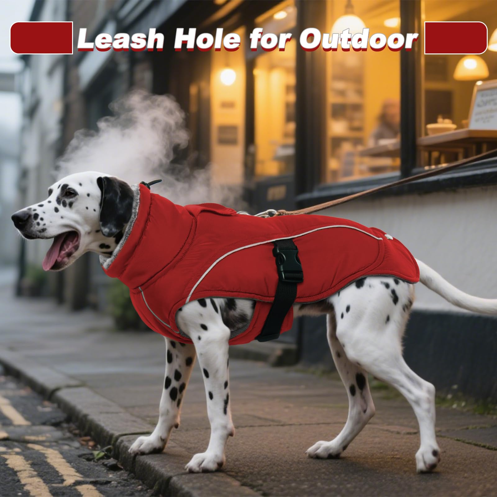 DENTRUN extended back hem image shows full-body warmth protection from cold surfaces