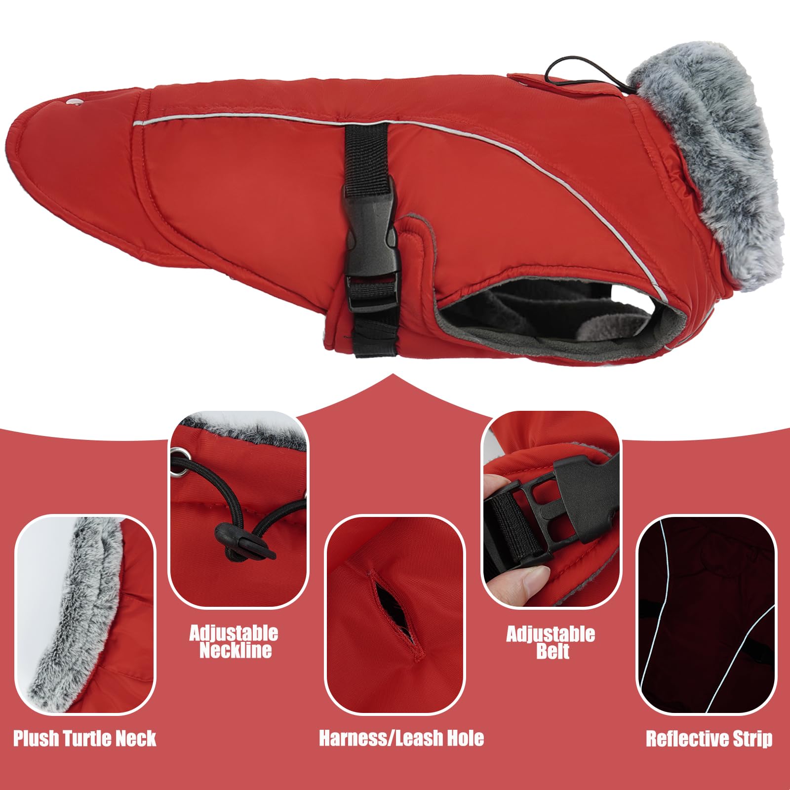 DENTRUN leash hole closeup shows harness-friendly design for easy walks