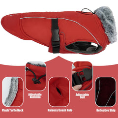 DENTRUN leash hole closeup shows harness-friendly design for easy walks