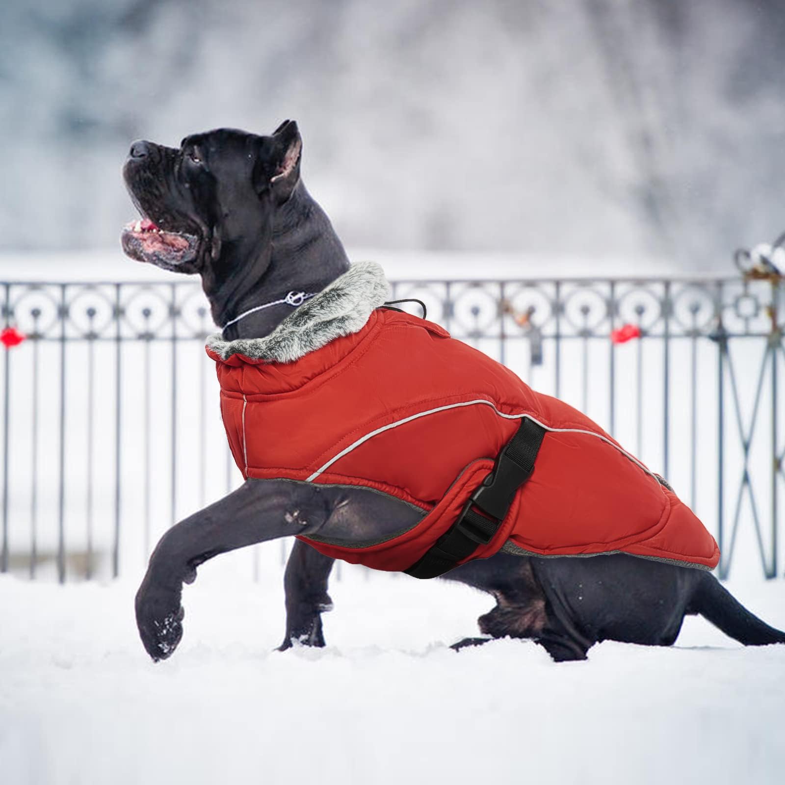 DENTRUN water-repellent finish image depicts snow and light rain shedding capability