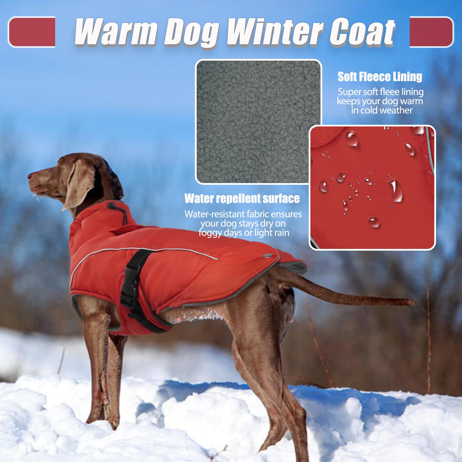 DENTRUN coat side wear demonstrates turtleneck folded style and neck wind protection