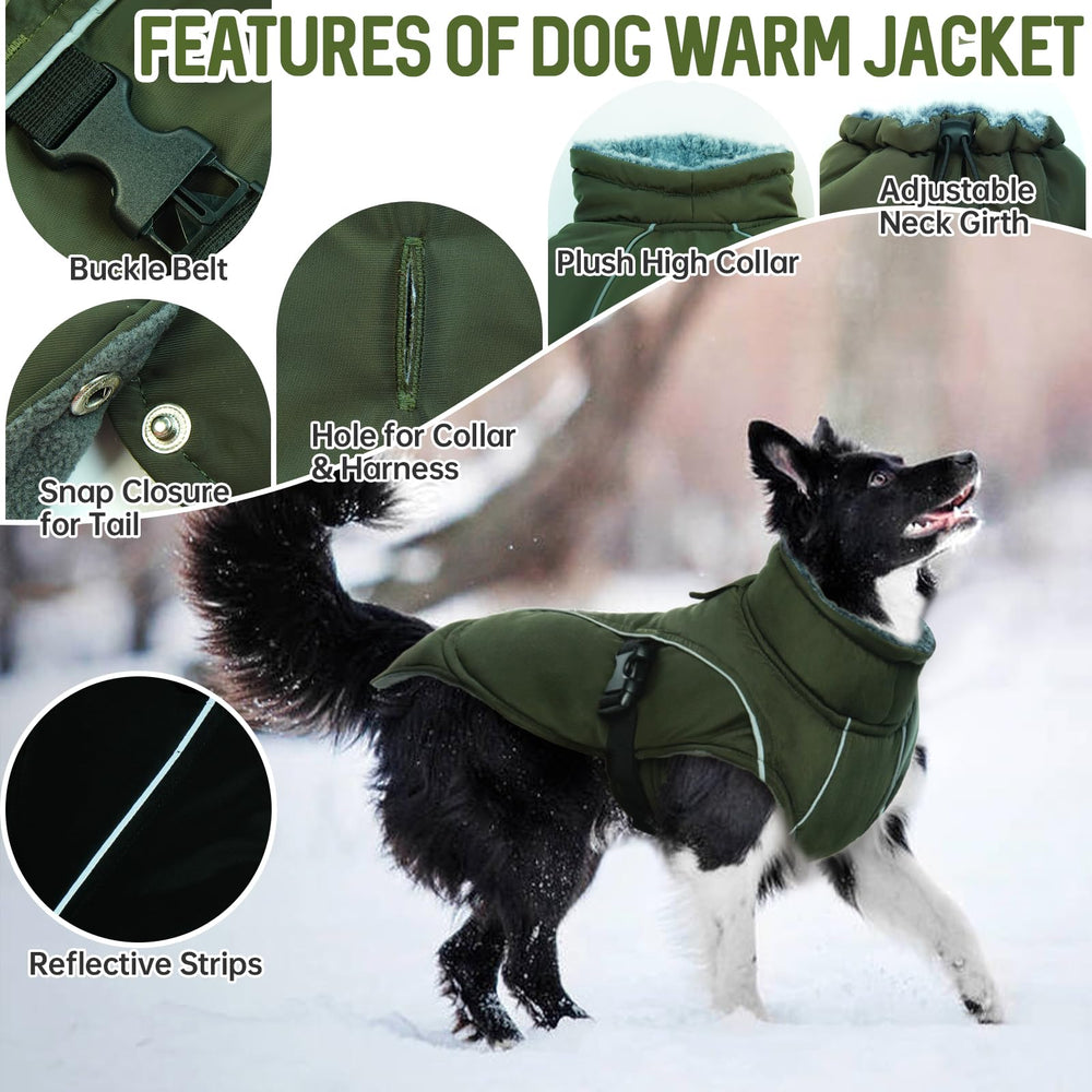 DENTRUN Winter Warm Dog Coat with turtleneck protecting the neck in wind.