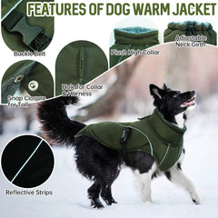 DENTRUN Winter Warm Dog Coat with turtleneck protecting the neck in wind.