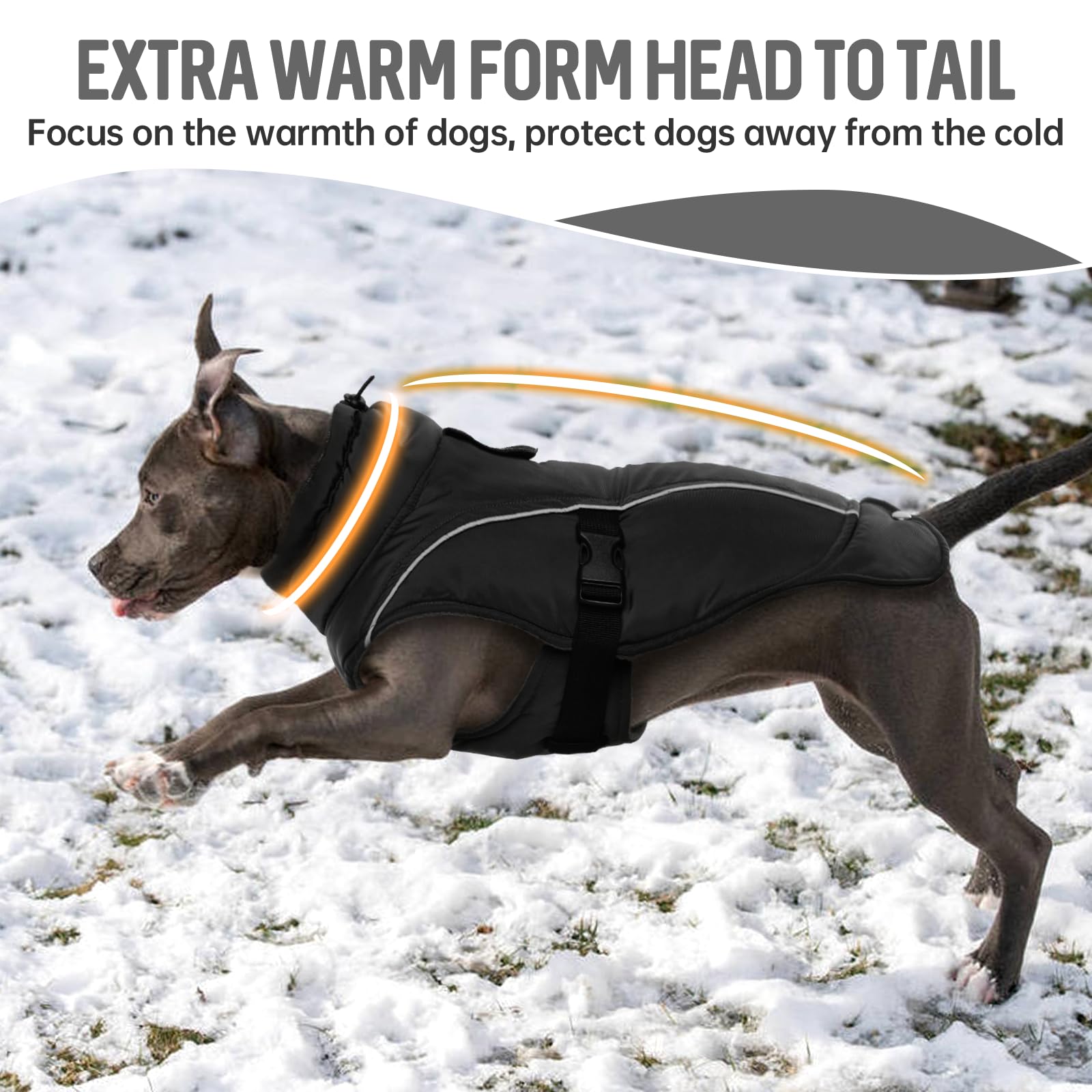DENTRUN Winter Warm Dog Coat water-repellent finish aids light rain protection