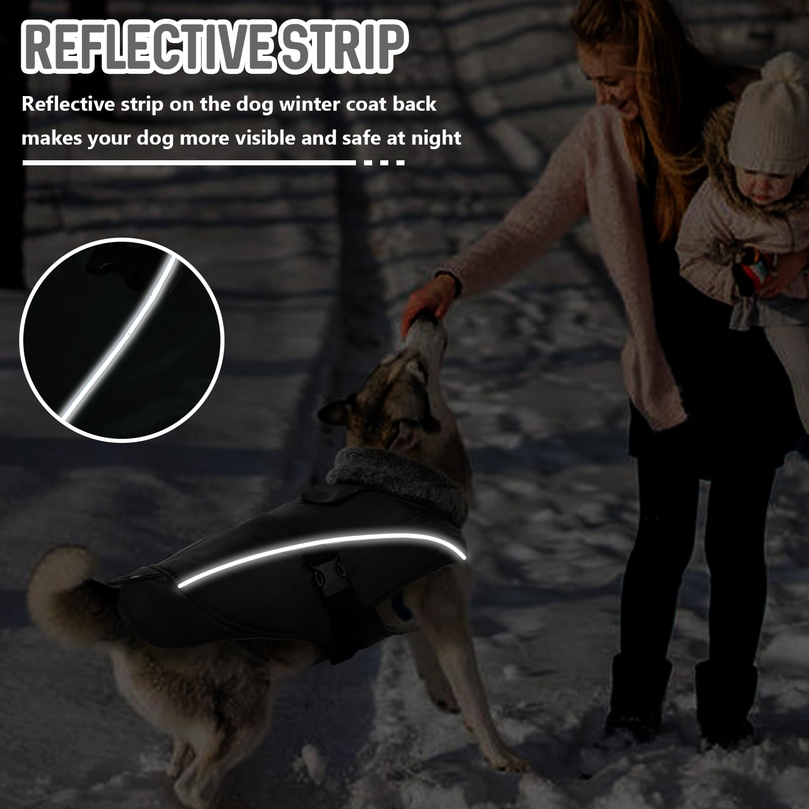 DENTRUN Winter Warm Dog Coat windproof material blocks chilly gusts
