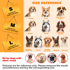 Denwwico dog muzzle mouth area on dog showcases gentle protection during interactions