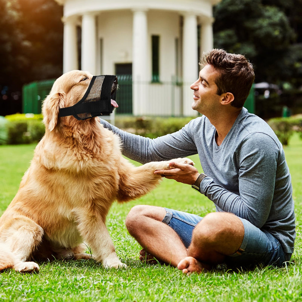 Denwwico dog muzzle size chart guide helps proper selection