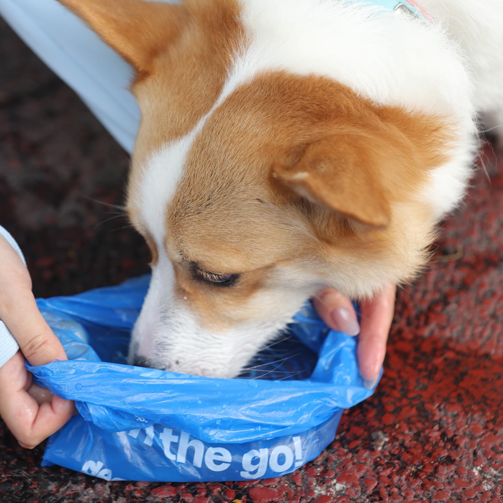Deo Doo bags in park scene for pet cleanup.