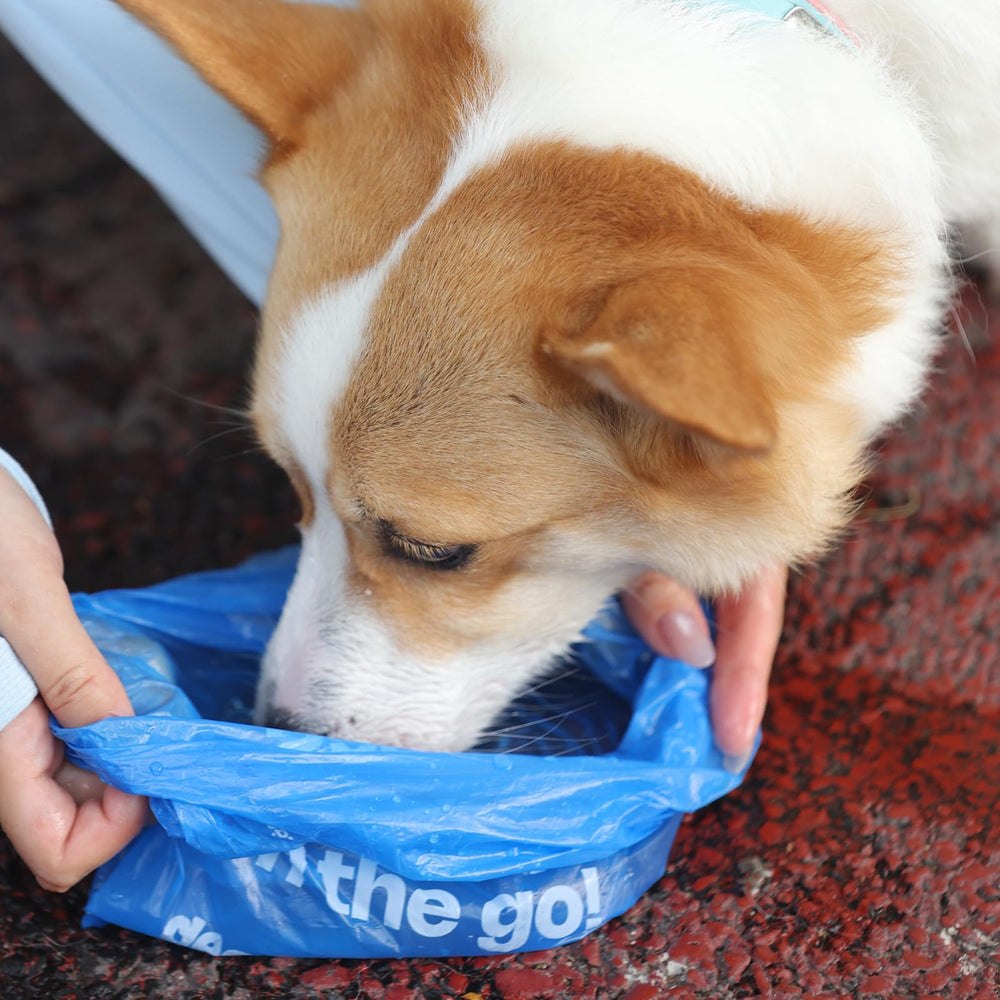 Deo Doo bags in park scene for pet cleanup.