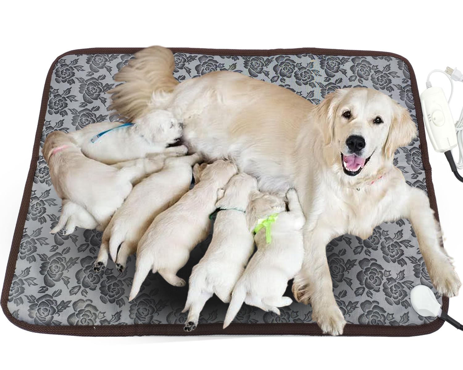 DEOMAN energy-efficient operation saves electricity while keeping pets warm.