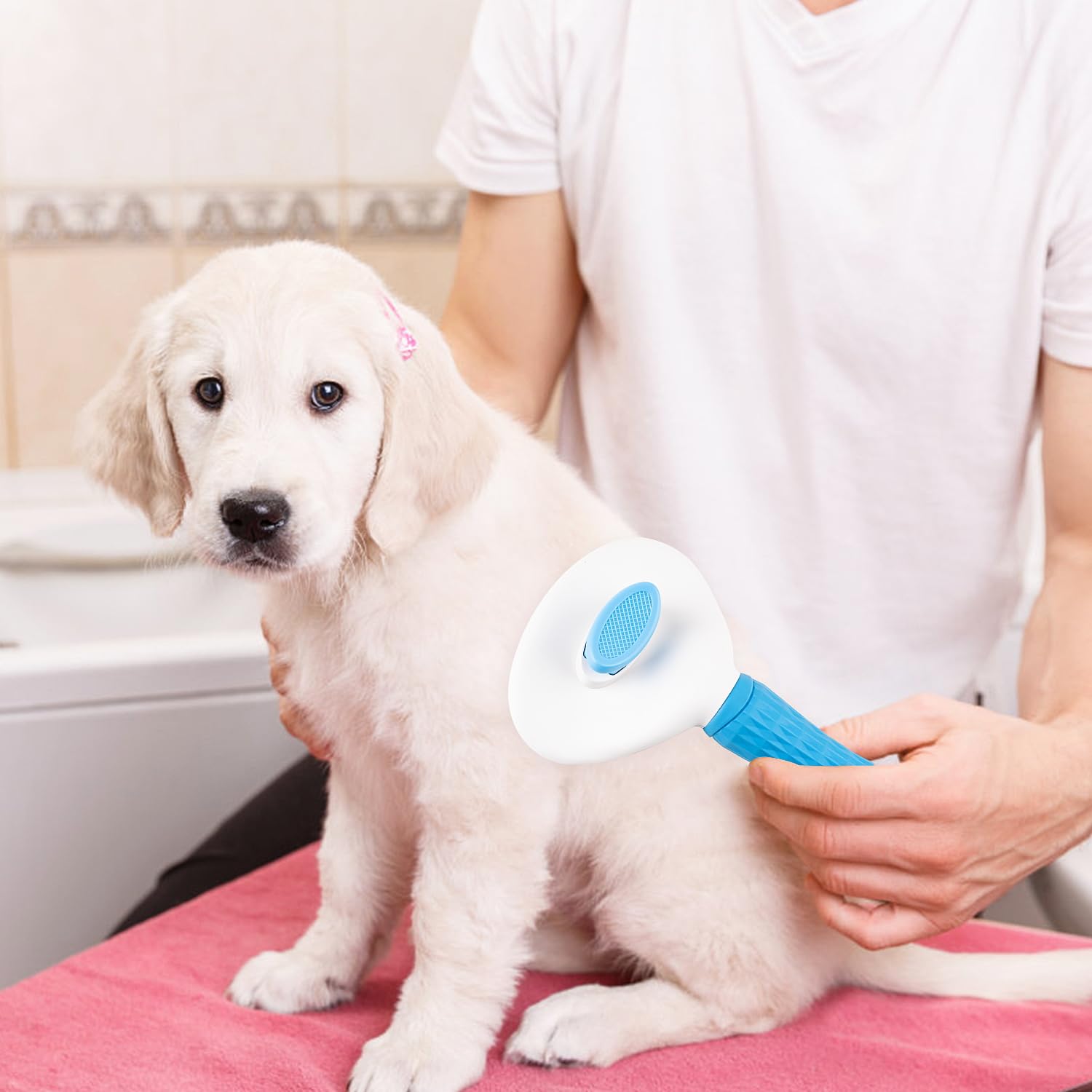 Depets grooming session promotes bonding through pleasant brushing moments.
