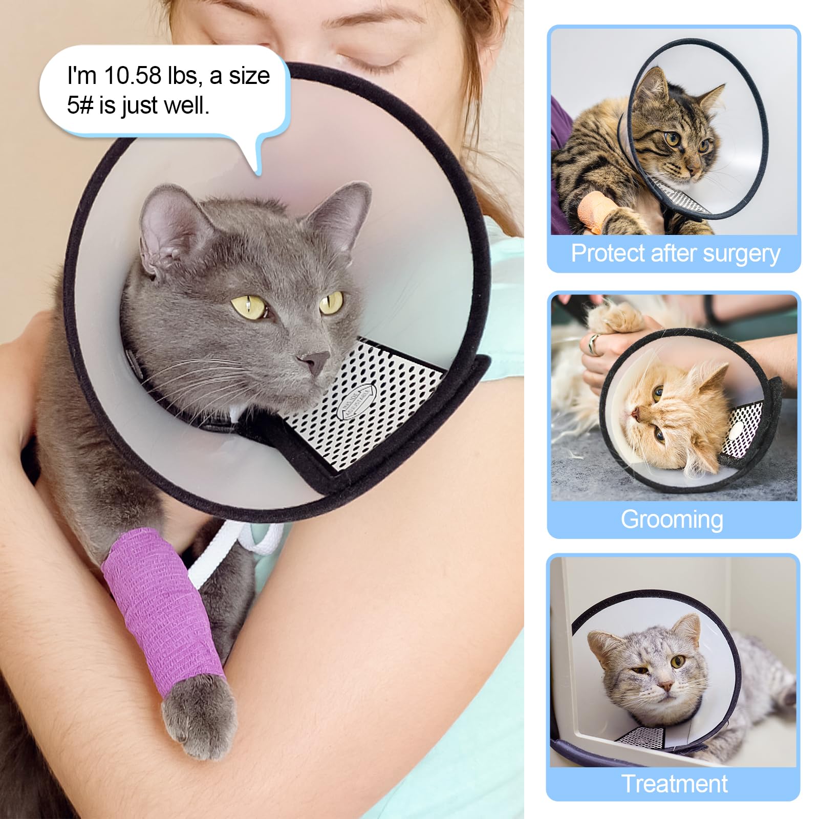 Depets pet wearing cone post-surgery, gentle protection during healing.