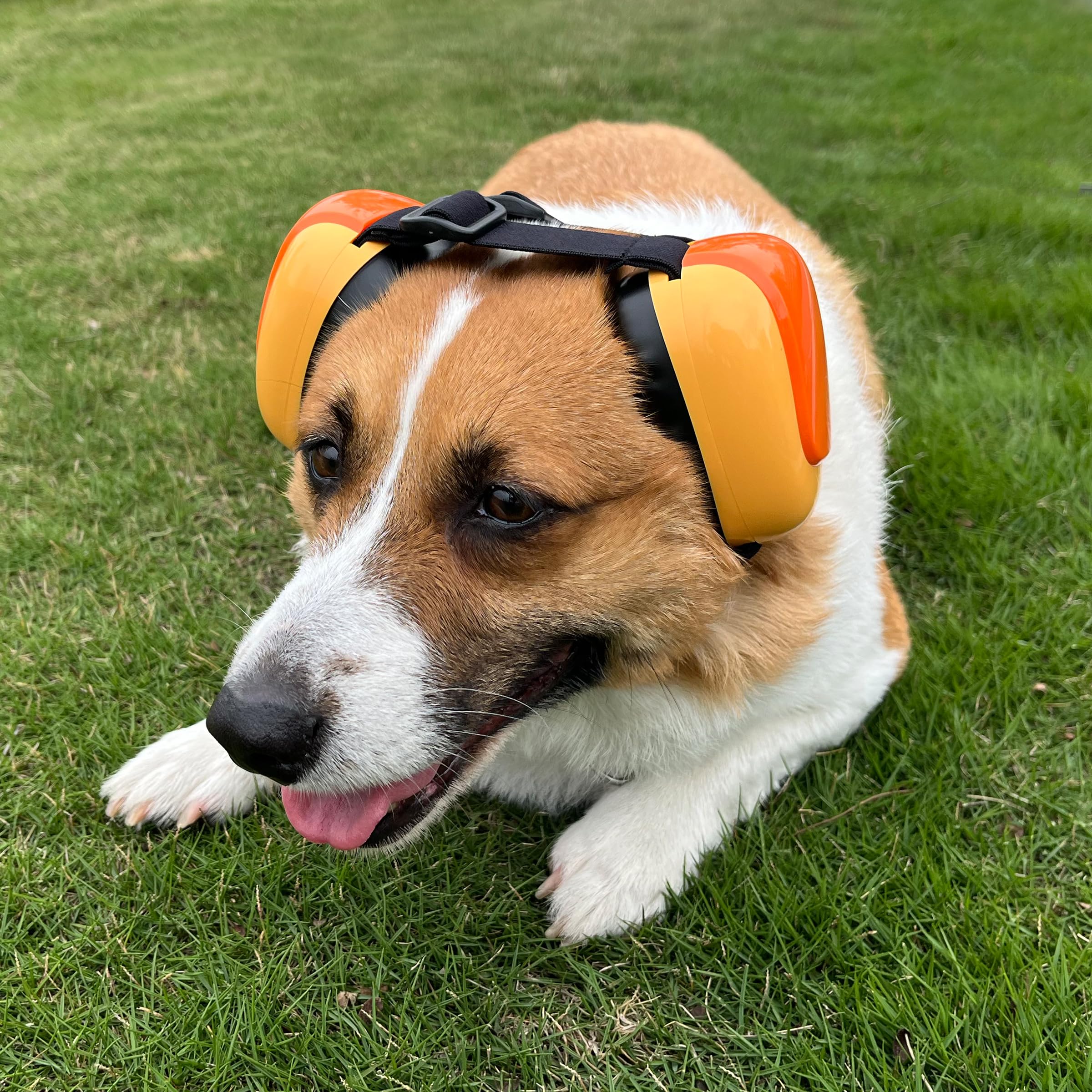 derYEP dog earmuffs GEN2 nocturne grey packaging in waterproof EVA box for travel.