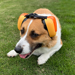 derYEP dog earmuffs GEN2 nocturne grey packaging in waterproof EVA box for travel.