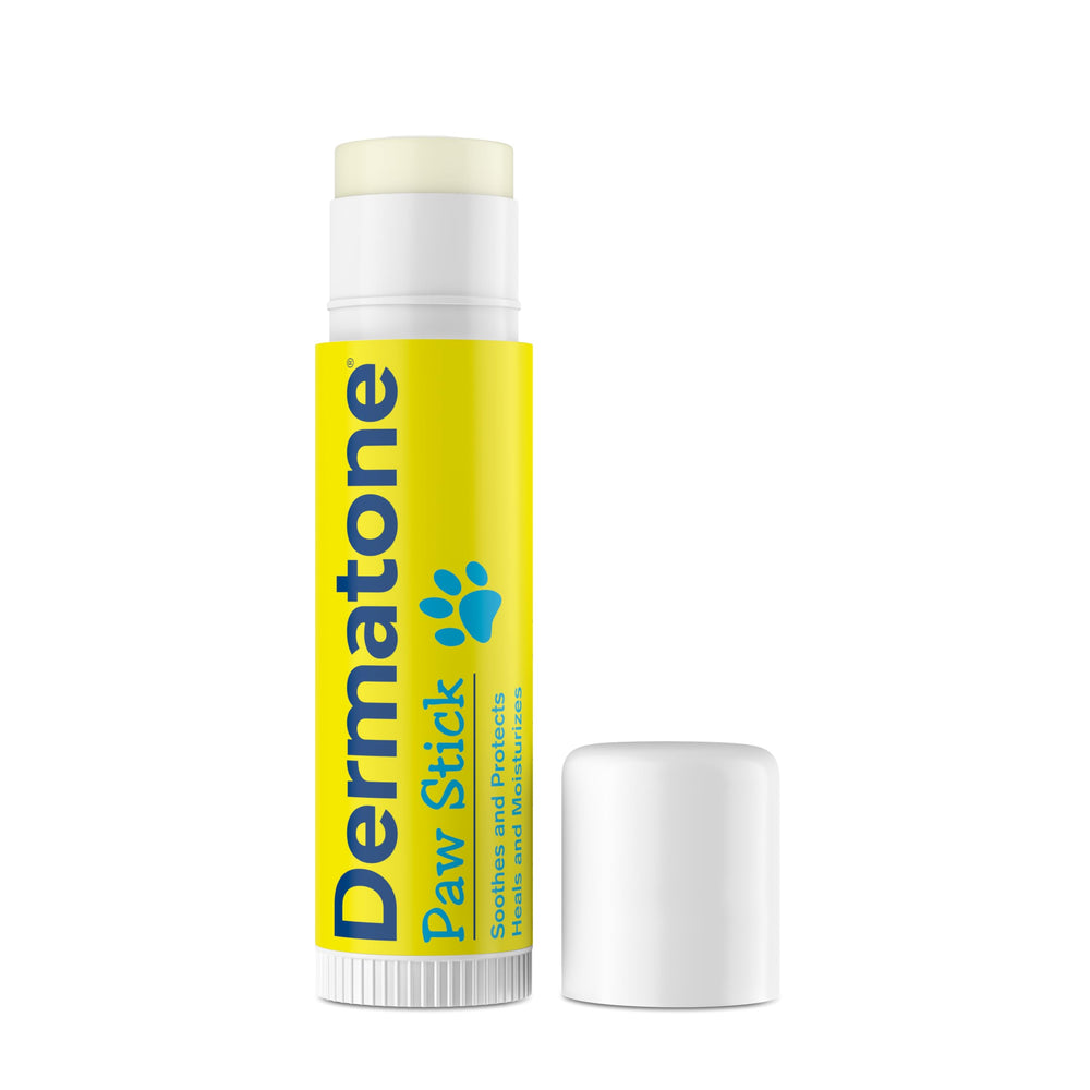 DERMATONE paw-stick-compact-size demonstrates portable paw care you can carry on outdoor adventures.