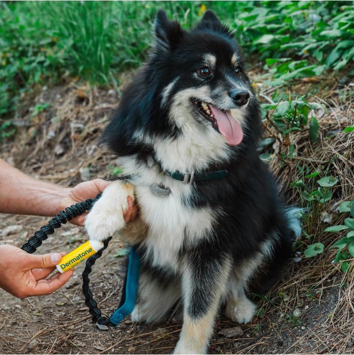 DERMATONE paw-stick-fragrance-free option keeps scents discreet for sensitive pets.