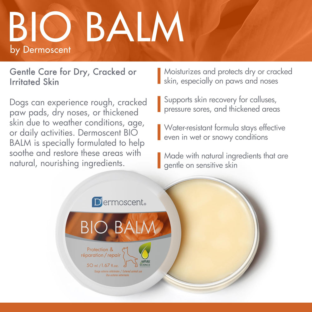 Dermoscent Bio Balm applied on a dog's paw showing rich texture and absorption.