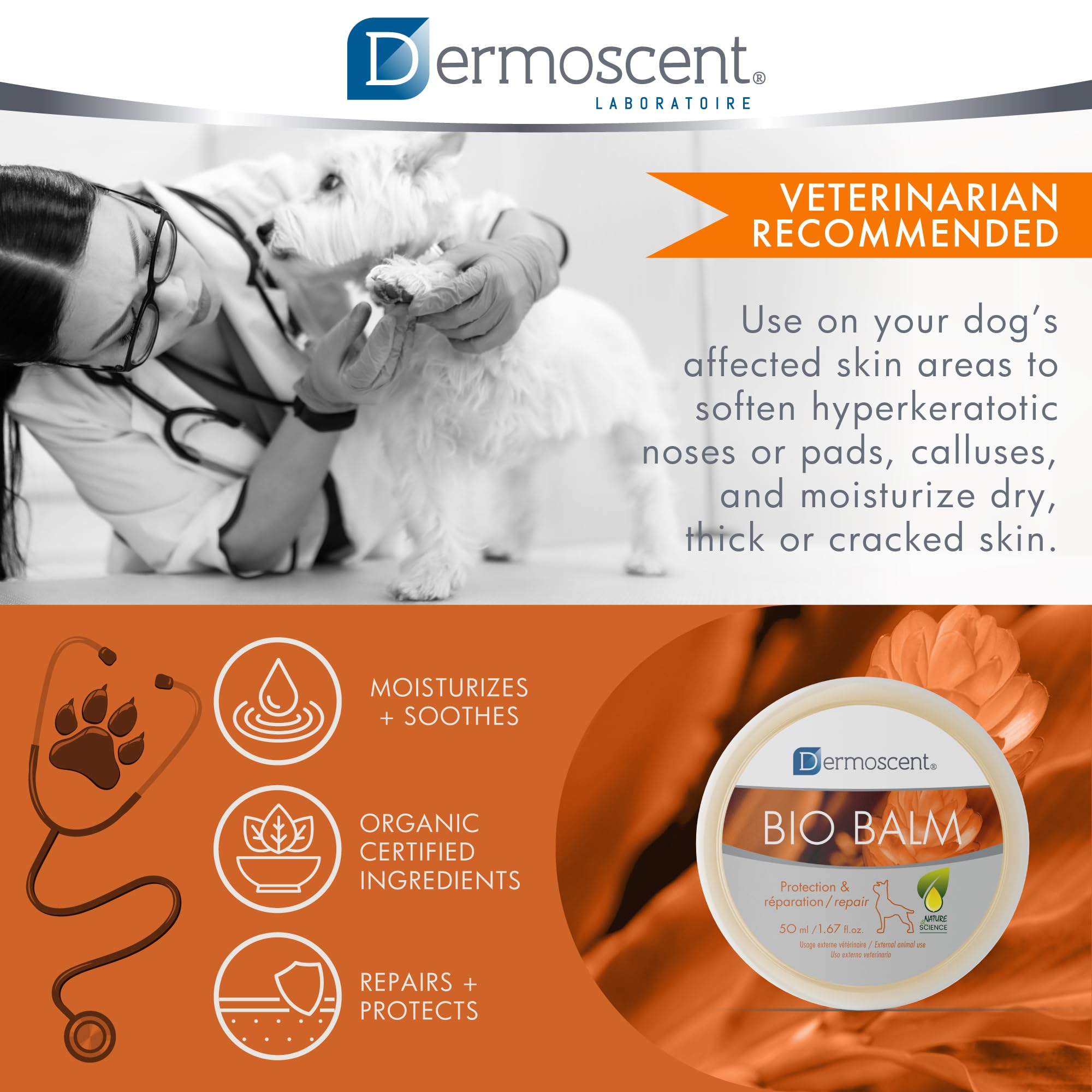 Dermoscent Bio Balm ready for a daily paw-care routine to moisturize.