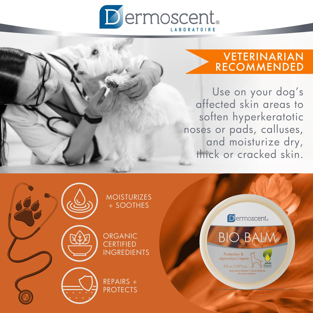 Dermoscent Bio Balm ready for a daily paw-care routine to moisturize.