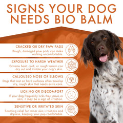 Dermoscent Bio Balm on the nose area protecting dry, cracked skin.