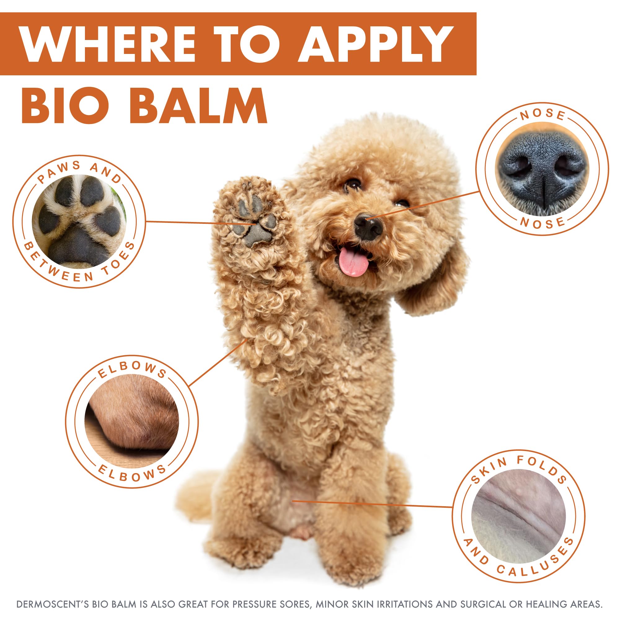 Dermoscent Bio Balm texture close-up highlighting thick, creamy consistency for easy spread.