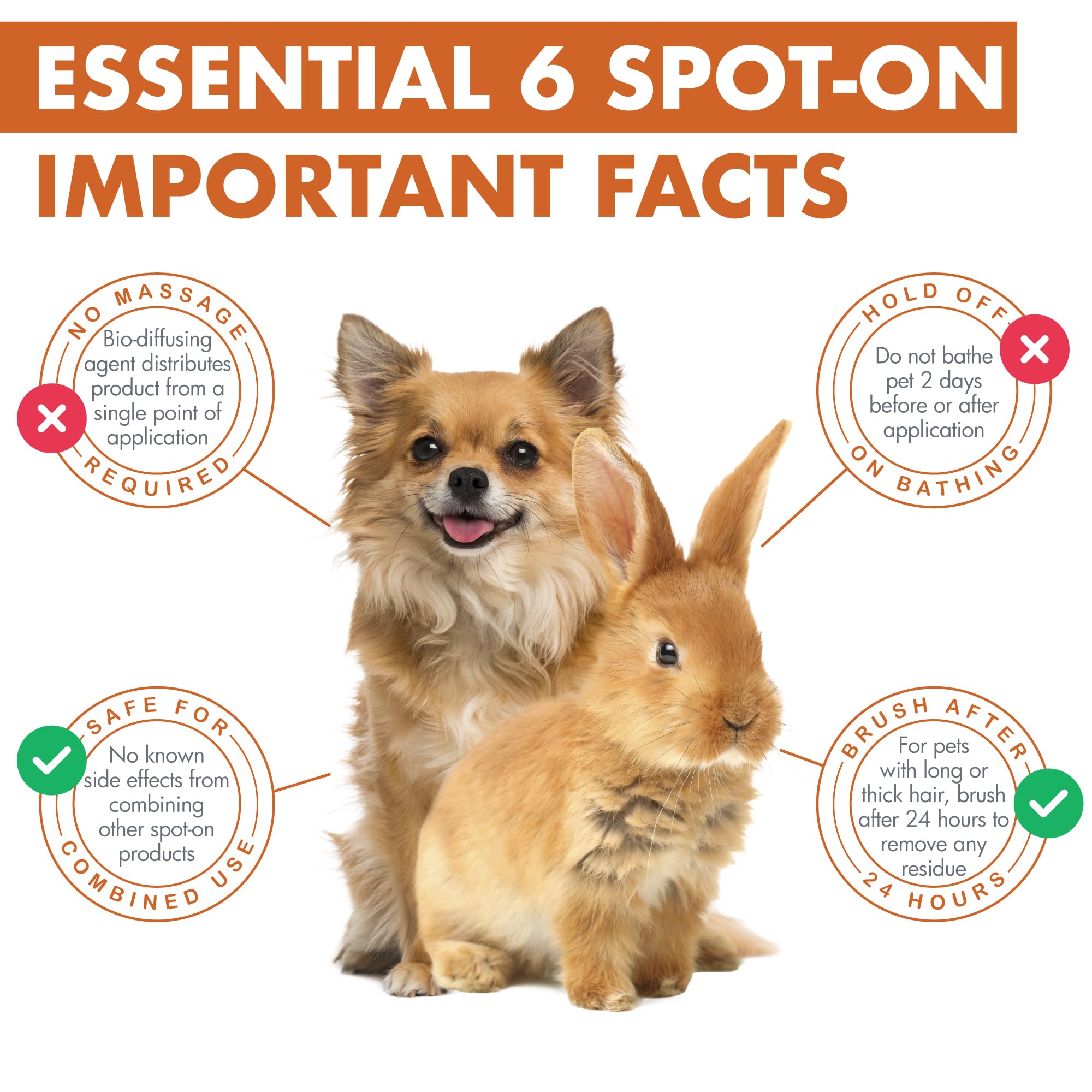 Dermoscent Essential 6 apply-no-rinse image demonstrates quick topical use.