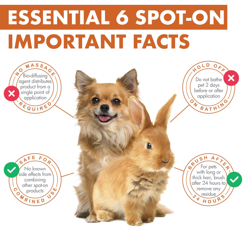 Dermoscent Essential 6 apply-no-rinse image demonstrates quick topical use.
