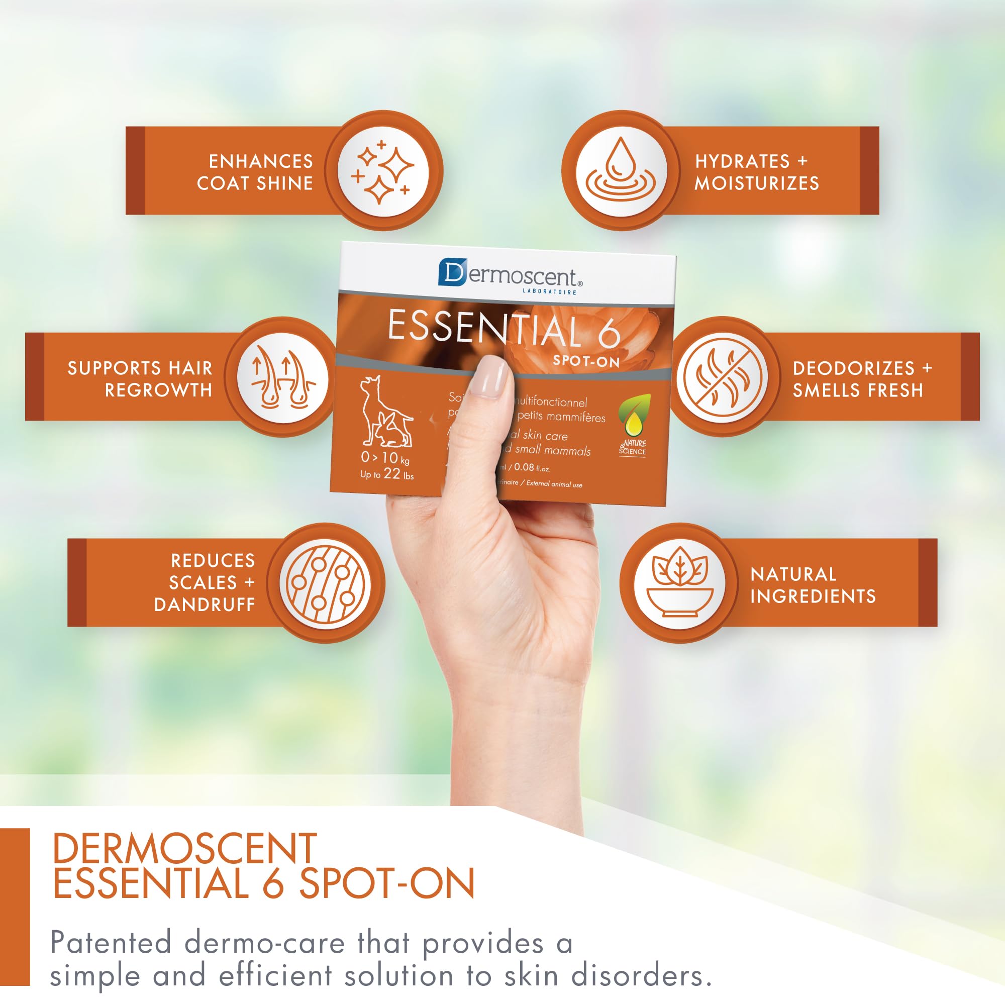 Dermoscent Essential 6 focus on dry skin and dandruff relief for pet comfort.