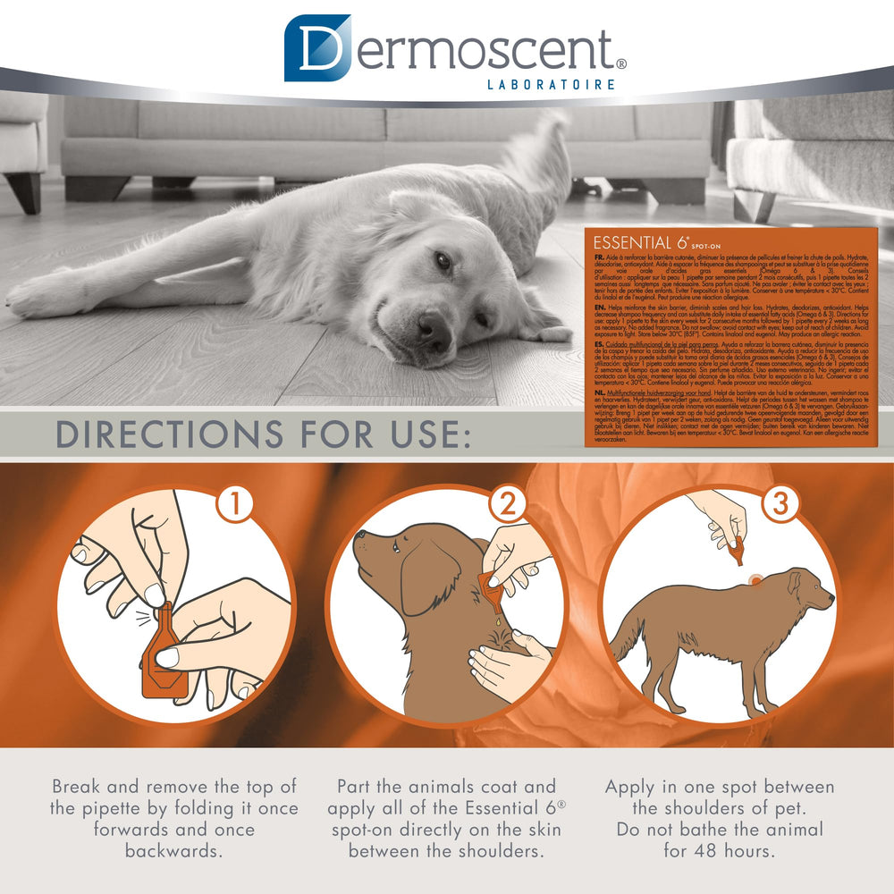Fresh herbal scent of Dermoscent Essential 6 deodorizes odors while caring for skin.