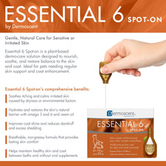 Dermoscent Essential 6 skin and fur shine highlighting a glossy coat and conditioned skin.