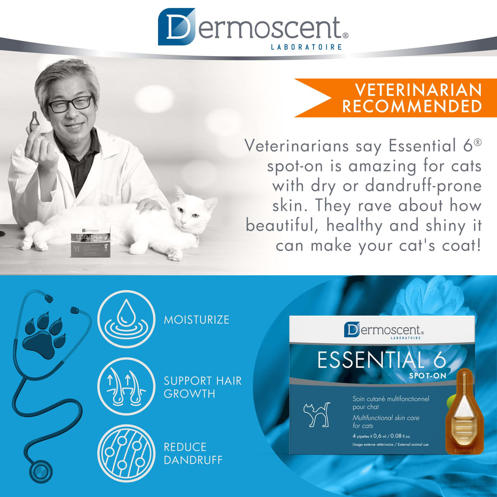 Dermoscent Essential 6 Spot On creates a more relaxed, comfortable cat during daily routines