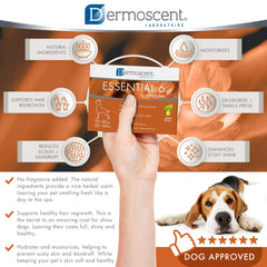 Dermoscent Essential 6 vitamin E oil drop illustrates nourishing care