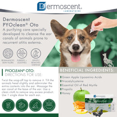 Dermoscent Pyoclean OTO: aplicación de gotas en oreja canina para masaje suave.