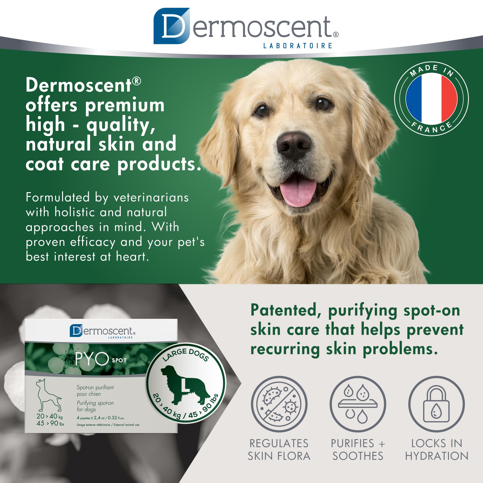 Dermoscent Pyospot bonding with dog scene highlights companion time