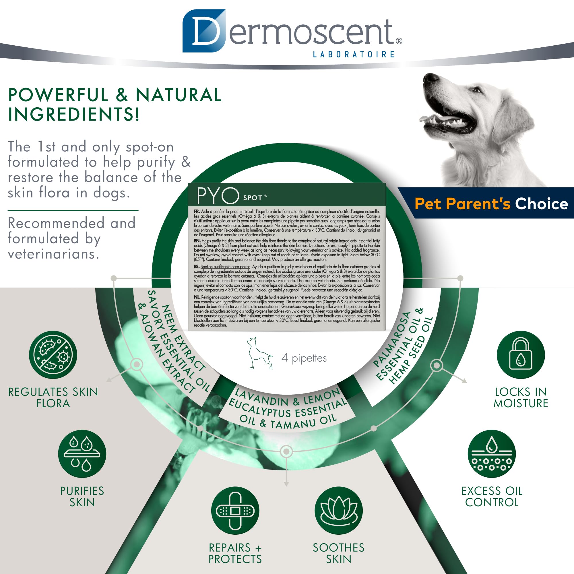 Dermoscent Pyospot dogs in use scene depicts routine care moments