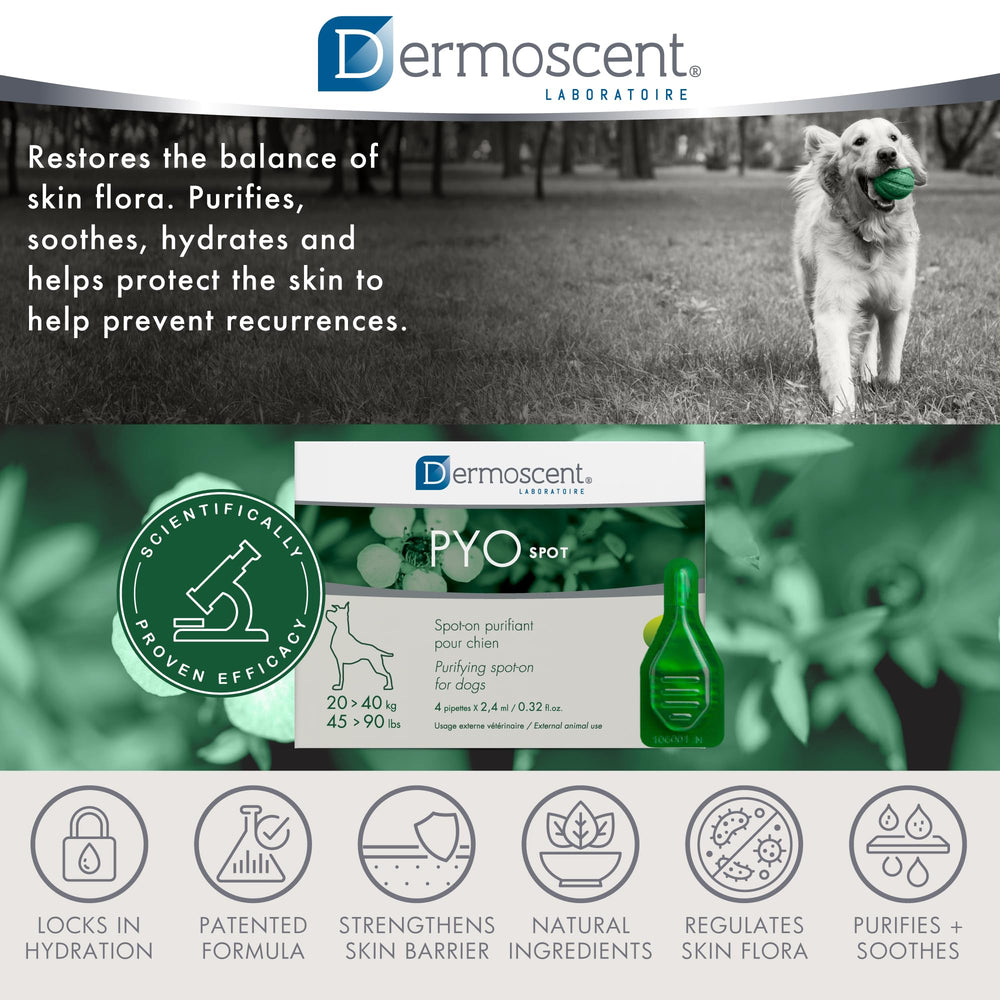 Dermoscent Pyospot family activity scene shows shared pet care time