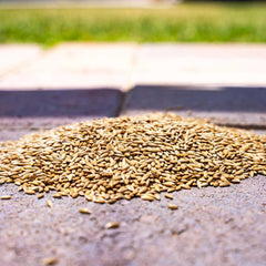 Desert Valley Supply wild bird feeder setup attracts canaries and songbirds.