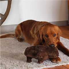 design LAB bison plush toy closeup fabric highlighting soft, durable material.