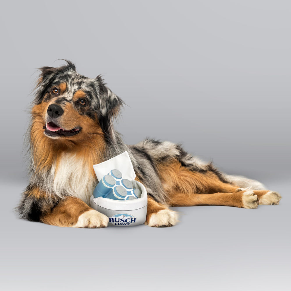 design LAB Busch Light dog toy bandana bright bandana adds style to walks