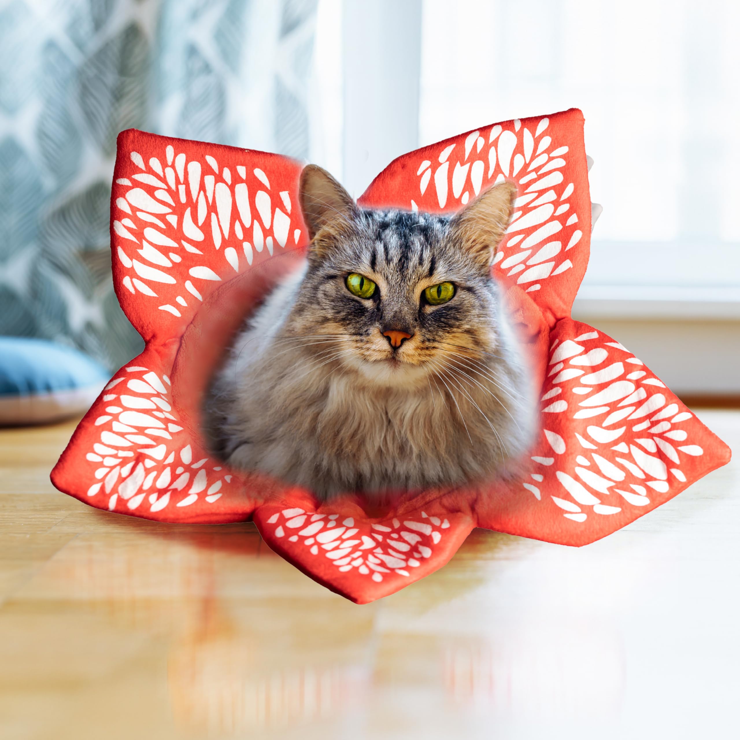 design LAB, Inc. plush teaser toy for safe swatting and gentle chasing.