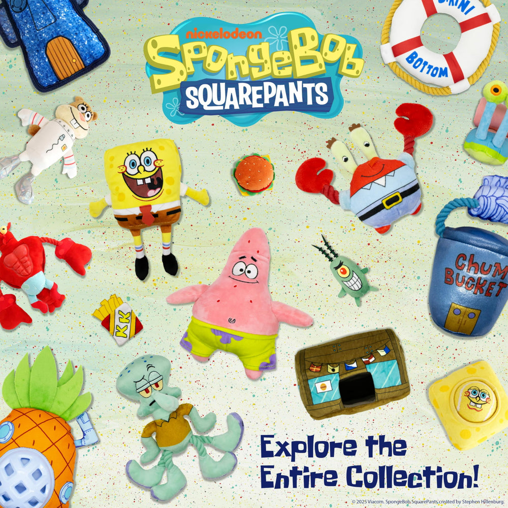 design LAB SpongeBob dog play session showing versatility and hours of fun
