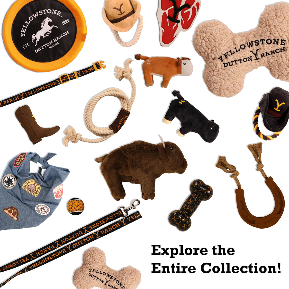 design LAB Yellowstone bison plush toy dog playing to boost engagement.