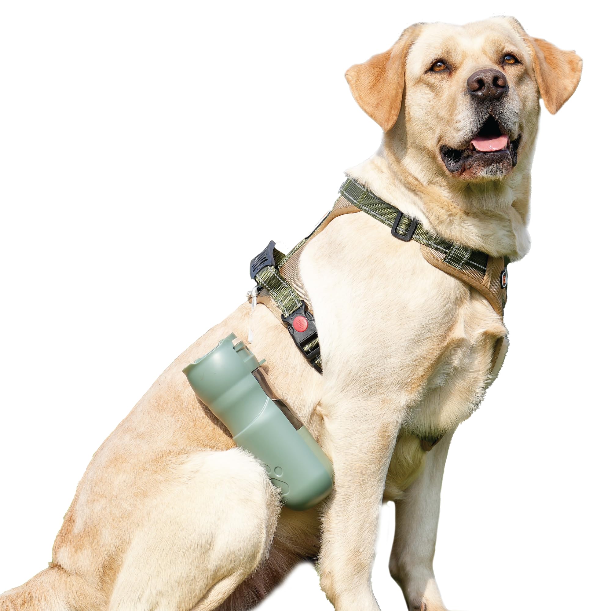 Desired Tools compact travel dispenser suits cat or small dog outings.