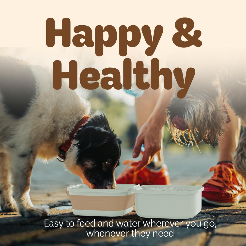 Desired Tools dog-cat travel bowl in use during park visit and hikes.