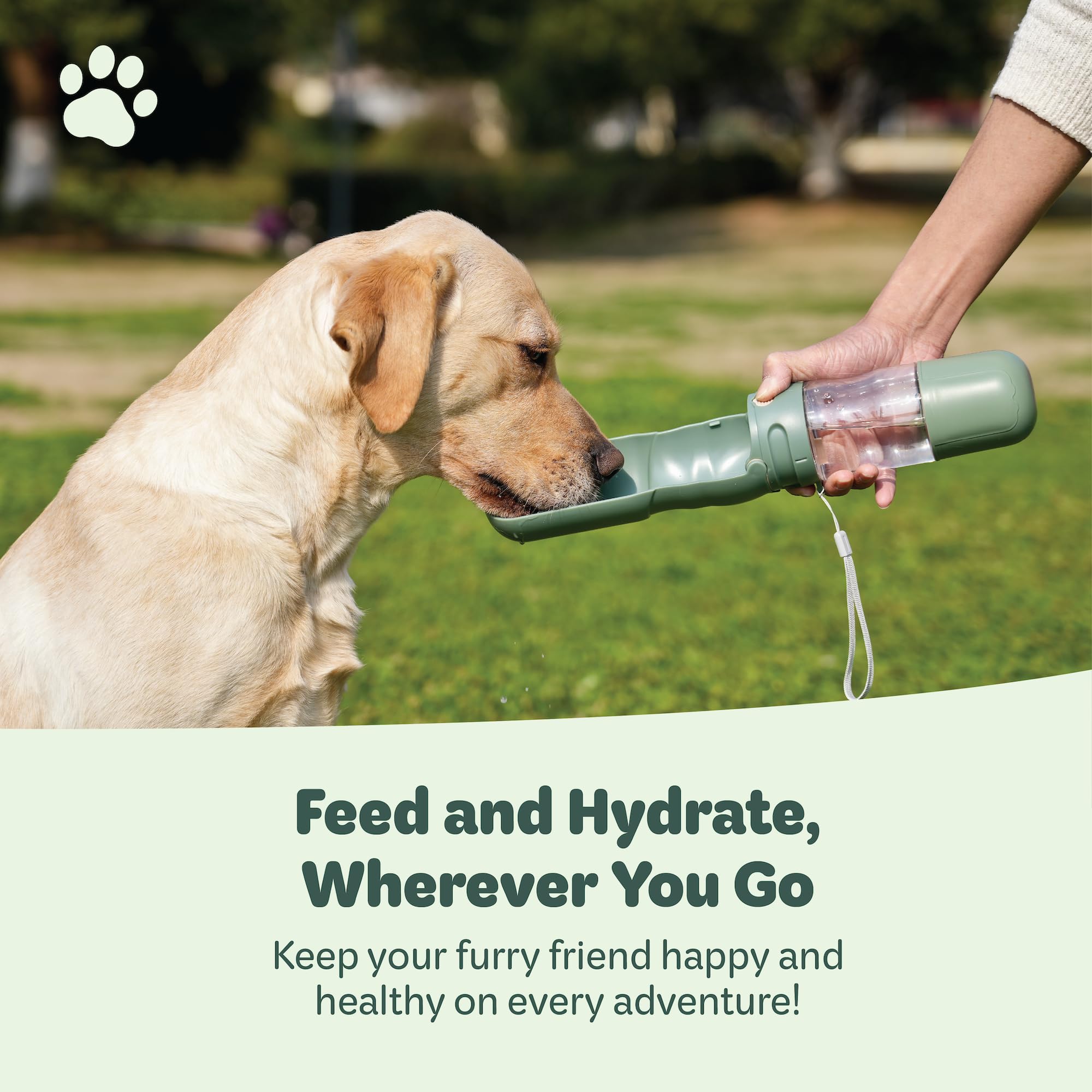 Desired Tools filter chip hydration system for fresh-tasting water on the go.