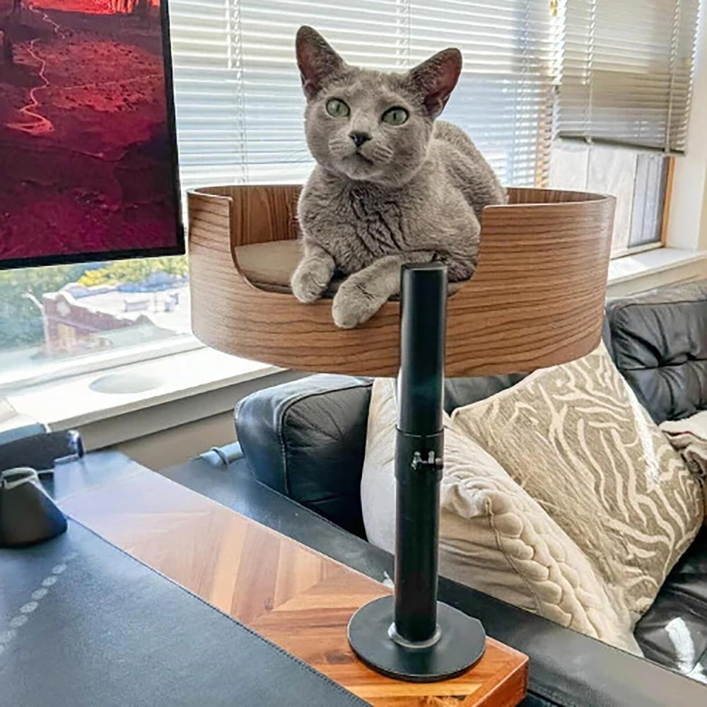 Desk Nest Cat Bed supports up to 25 lbs for stable, secure resting.